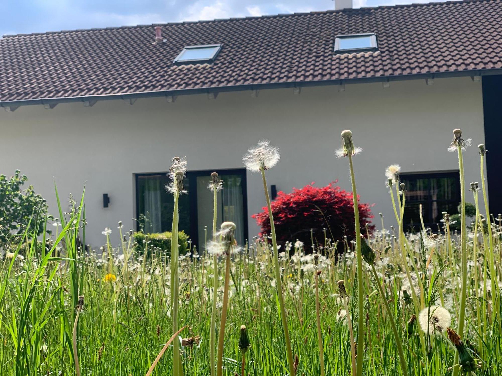 Appartement Kammblick Grobming Exterior photo